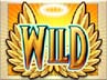 Wild Icon