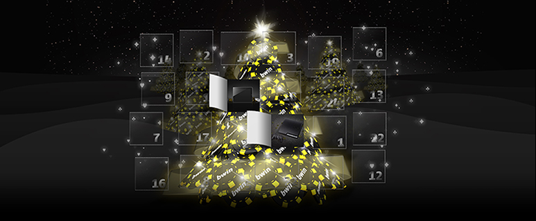 Du 1er au 31 decembre  Bwin célebre Noel des prix pour vous dans la hotte du Père poker ? Pp_image