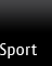 sportsbook